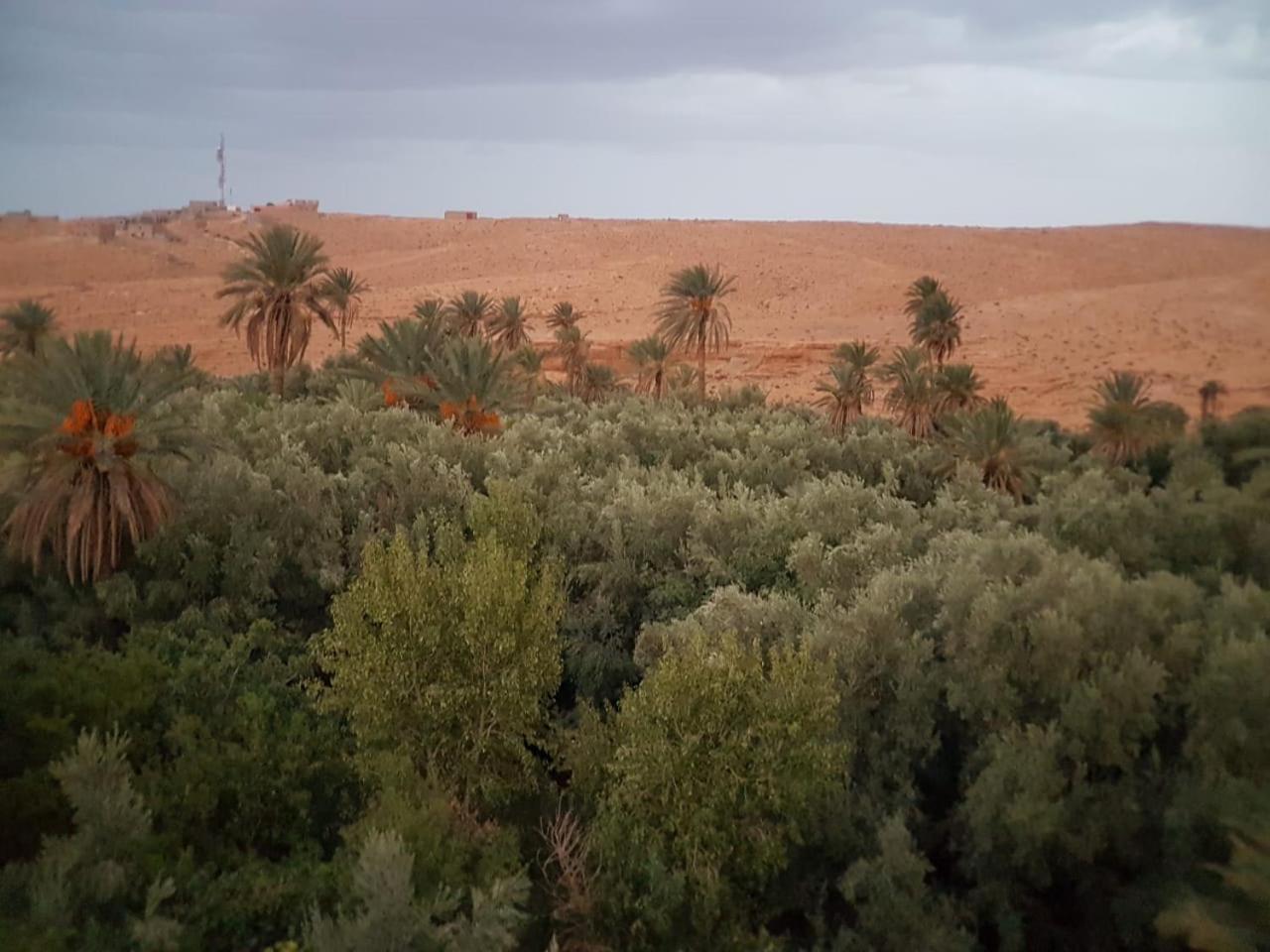 Riad Dar Bab Todra Tinghir Dış mekan fotoğraf